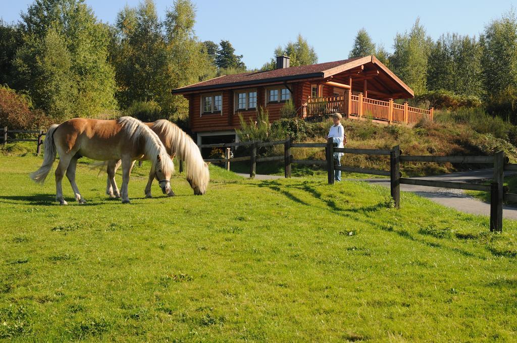 Hotelanlage Country Lodge Arnsberg Ngoại thất bức ảnh
